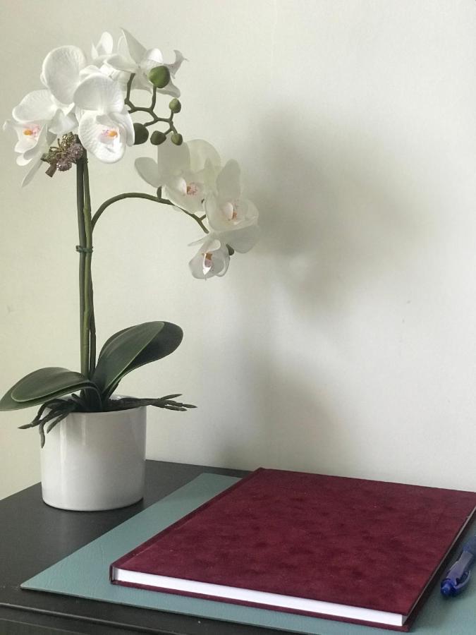 Greatforest Rosehill 1 Apartman Debrecen Esterno foto