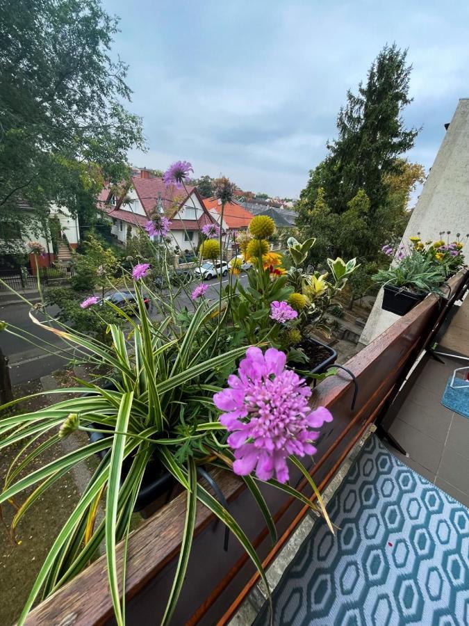 Greatforest Rosehill 1 Apartman Debrecen Esterno foto